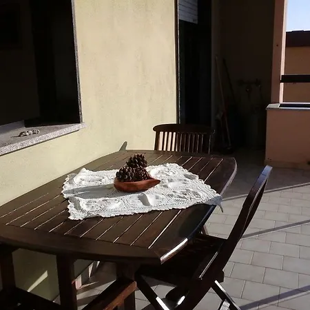 Fiore * Αλγκέρο